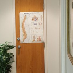 Union Physical Therapy & Rehabilitation - Poster of the spine in the therapy room