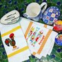 Photo of Alfama Collections