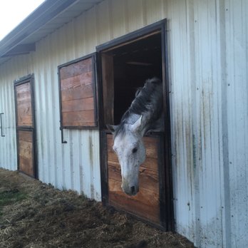 Poseidon Stables - I love this picture so mich - Horseback Riding Near Me - Eugene, Oregon
