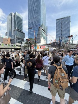 Shibuya Crossing by null