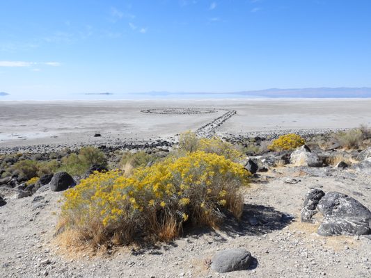 Spiral Jetty by null