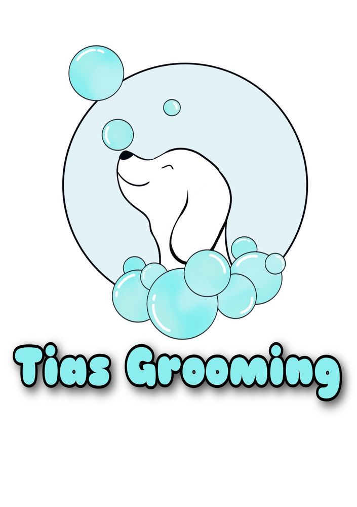 ANDREIA’S GROOMING 69 Ferry St, Everett, Massachusetts Pet Groomers