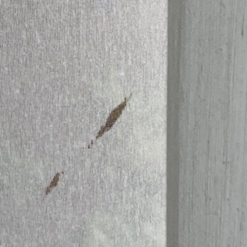 Ramada by Wyndham Spokane Airport - Some stains on the curtain - Hotels Near Me - Spokane, Washington Ramada by Wyndham Spokane Airport - Some stains on the curtain - Hotels Near Me - Spokane, Washington