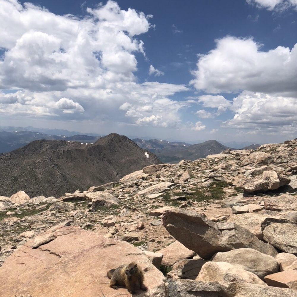 Mt. Evans Wilderness - Hiking Near Me Mt. Evans Wilderness - Hiking Near Me