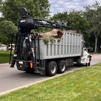 Vineland Tree Care - Tree Services Near Me - Minneapolis, Minnesota Vineland Tree Care - Tree Services Near Me - Minneapolis, Minnesota