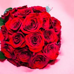 XOXO Florals & Wine - Sexy Stan is 2 Dozen red rose in a Stanley Mug