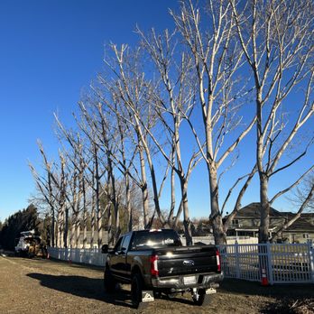Elite Tree Service - Tree Services Near Me - Boardman , Oregon