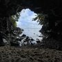 Turtle Cove