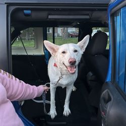 Sleepy Hollow Pet Ranch