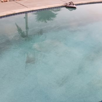 Palomar Pool & Spa - Dirt - Pool Cleaners Near Me