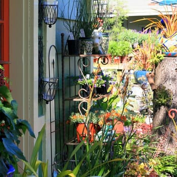 Mountain Feed & Farm Supply - Flower displays - Nurseries & Gardening Near Me - Ben Lomond, California Mountain Feed & Farm Supply - Flower displays - Nurseries & Gardening Near Me - Ben Lomond, California