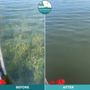 Waterfront Restoration