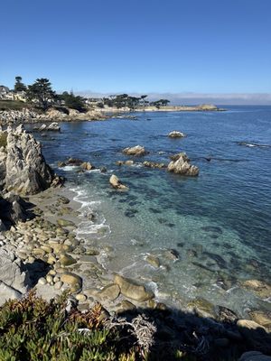 Pacific Grove Adventures by null