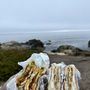 Photo of Bagel Kitchen