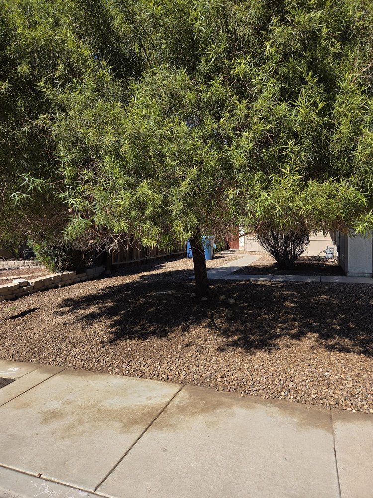 Diamond Tree Service - tree service in Las Vegas, NV