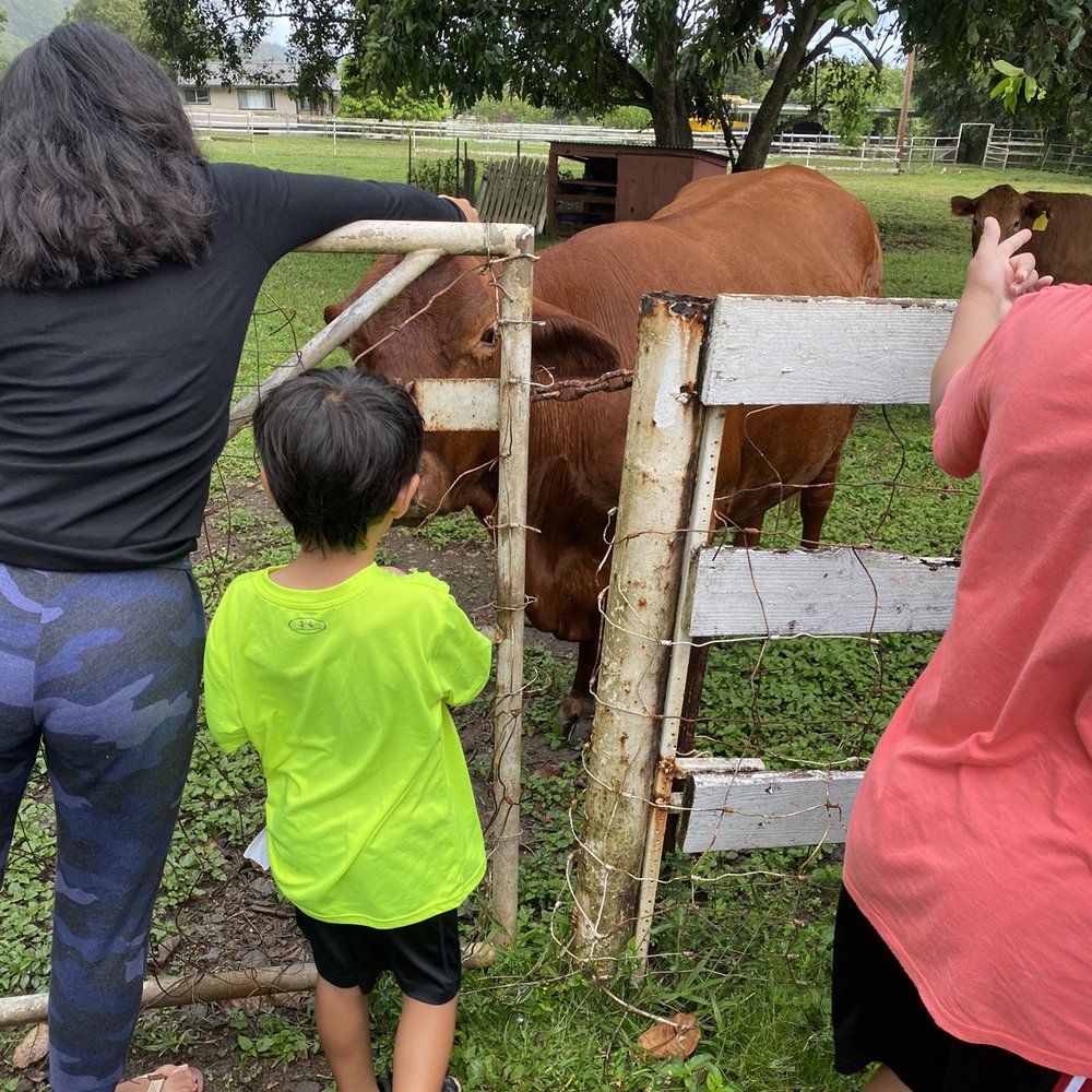 Tradewinds Ranch - Venues & Event Spaces Near Me - Hau'ula, Hawaii Tradewinds Ranch - Venues & Event Spaces Near Me - Hau'ula, Hawaii