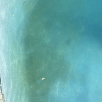 Sky blue pool service - Not vacuumed properly - Pool Cleaners Near Me Sky blue pool service - Not vacuumed properly - Pool Cleaners Near Me
