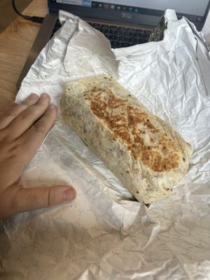Yeah Yeah Taco by null