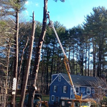 JTE & Company - Tree Services Near Me - Oxford, Massachusetts
