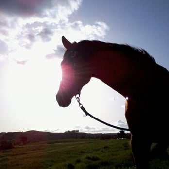 Serenity Equestrian Center - Out on trail at Serenity - Horseback Riding Near Me - Poway, California