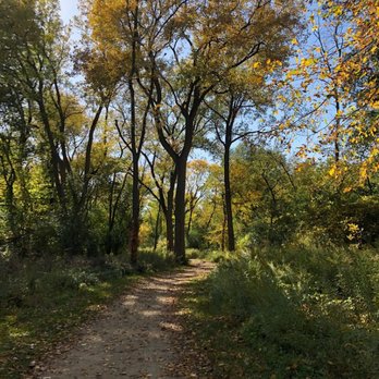 Big Bend Lake Forest Preserve - Fall colors on the trail. - Fishing Near Me - Des Plaines, Illinois Big Bend Lake Forest Preserve - Fall colors on the trail. - Fishing Near Me - Des Plaines, Illinois