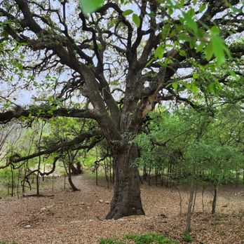 Cathedral Rock Nature Park - Parks Near Me - San Antonio, Texas Cathedral Rock Nature Park - Parks Near Me - San Antonio, Texas