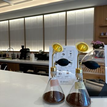 Denovia - Coffee & Tea Near Me - Toronto, Ontario