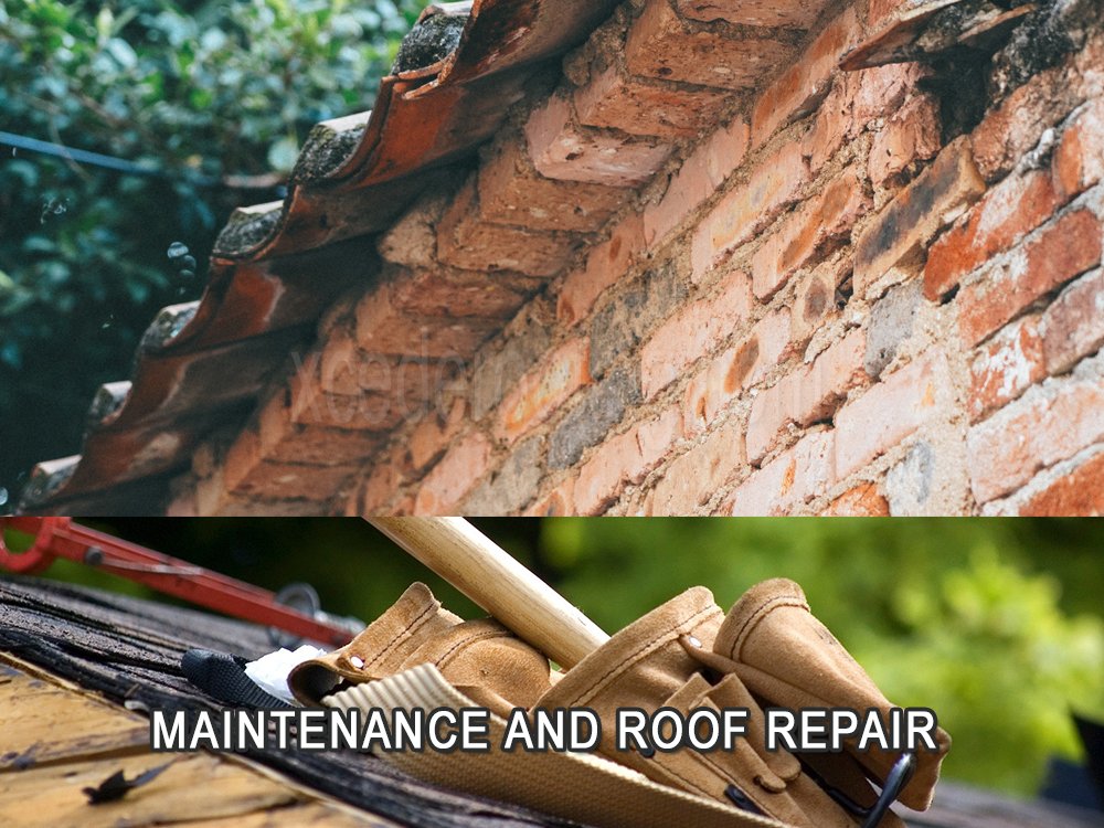 Slide of Ed's Roofing