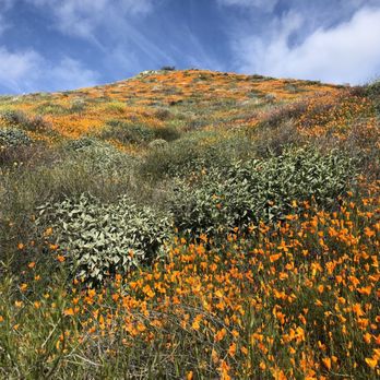 Walker Canyon Ecological Reserve - Wildlife Hunting Ranges Near Me