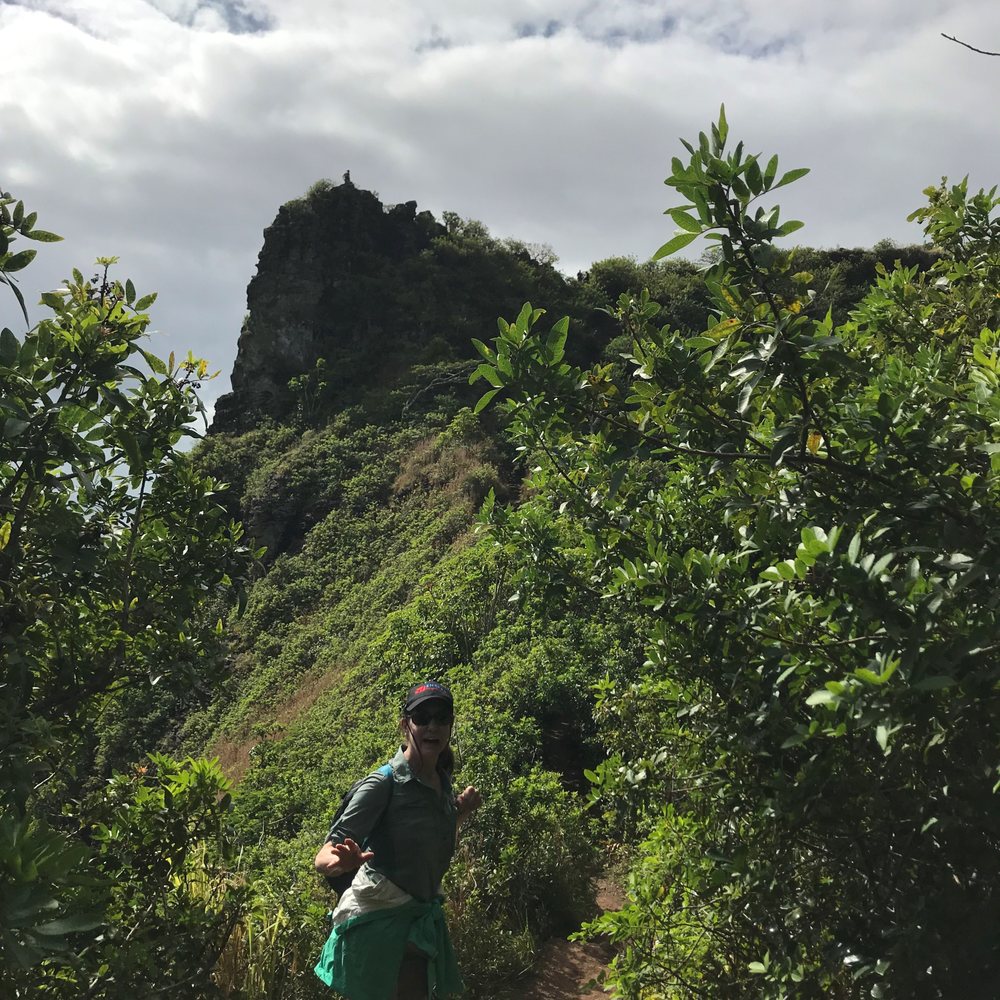 Sleeping Giant Trail - Looking towards the lower summit (the "chin") of the Sleeping Giant. The cave is just under where the hiker on the skyline is. - Hiking Near Me - Kapaa, Hawaii