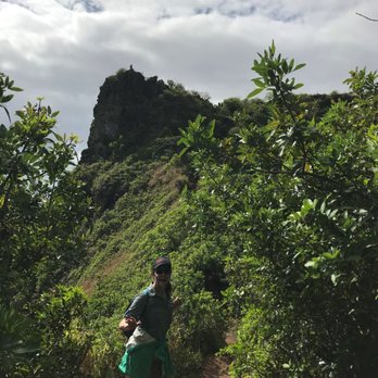 Sleeping Giant Trail - Looking towards the lower summit (the "chin") of the Sleeping Giant. The cave is just under where the hiker on the skyline is. - Hiking Near Me - Kapaa, Hawaii