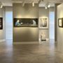 Photo of Harmon-Meek Gallery