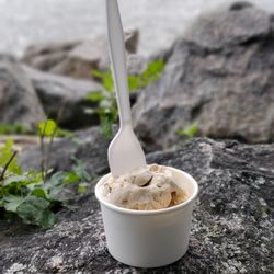 Moo Moo's Creamery - Very good ice cream and a perfect spot to enjoy it.