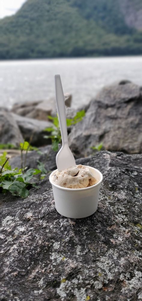 Food from Moo Moo's Creamery