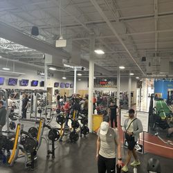 Gold's Gym