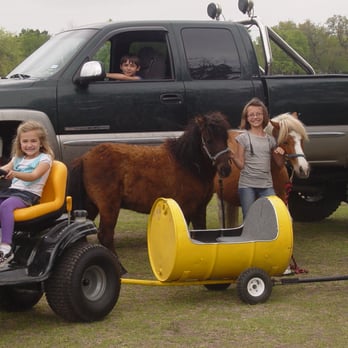 Takotas Ponies - PONIES , TRAINS AND MOSTERS OH MY! - Party & Event Planning Near Me - Georgetown, Texas
