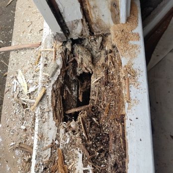 My Pest Geeks - My contractor removed the living room window which was so damaged by subterranean termites. This hole leads straight down to under our home. - Pest Control Near Me - Los Angeles, California My Pest Geeks - My contractor removed the living room window which was so damaged by subterranean termites. This hole leads straight down to under our home. - Pest Control Near Me - Los Angeles, California