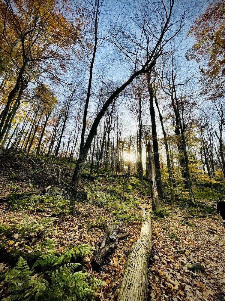Malabar Farm State Park