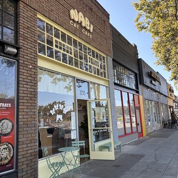Nabi Cat Cafe - The outside of the building - Themed Cafes Near Me - Santa Clara, California Nabi Cat Cafe - The outside of the building - Themed Cafes Near Me - Santa Clara, California