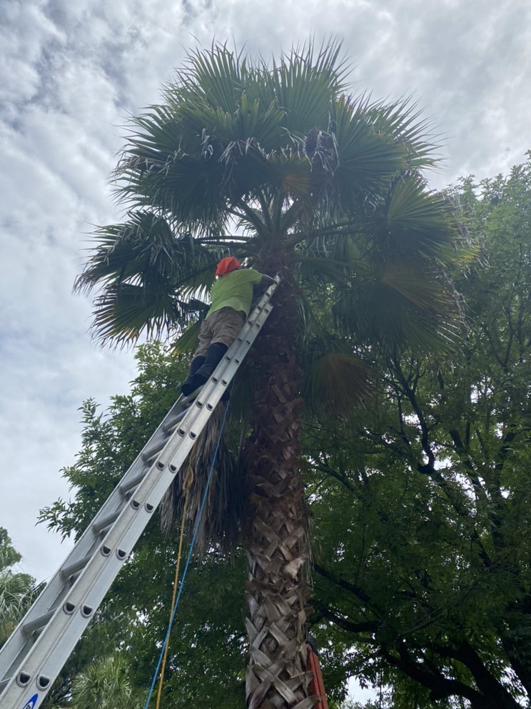 HUNTER’S TREE SERVICE Request a Quote Tree Services Niceville, FL