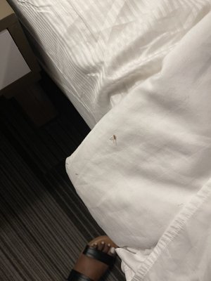 San Juan Hotel South Beach by null