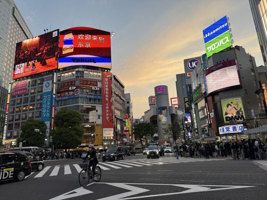 Shibuya Crossing by null