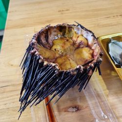 Aptus Seafood - Sea urchin ready to eat $14.99 each