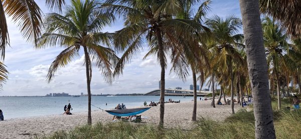Hobie Island Beach by null