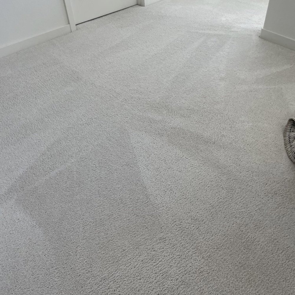 True Clean Carpet Cleaning - Carpet Cleaning Near Me True Clean Carpet Cleaning - Carpet Cleaning Near Me