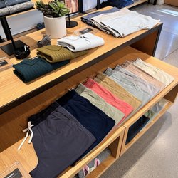 Bonobos