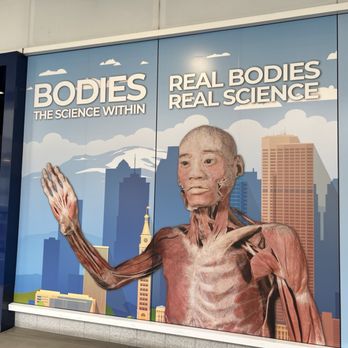 Denver Pavilions - Second floor exhibit August 2026 - Shopping Centers Near Me - Denver, Colorado Denver Pavilions - Second floor exhibit August 2026 - Shopping Centers Near Me - Denver, Colorado
