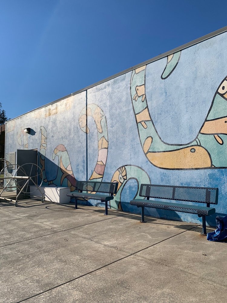 FINLEY AQUATIC CENTER 30 Photos & 20 Reviews Swimming Pools 2060