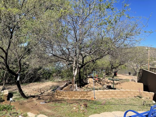 Patagonia Lake State Park by null