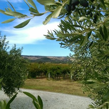 Primo Estate - Wineries Near Me - McLaren Vale, SA
